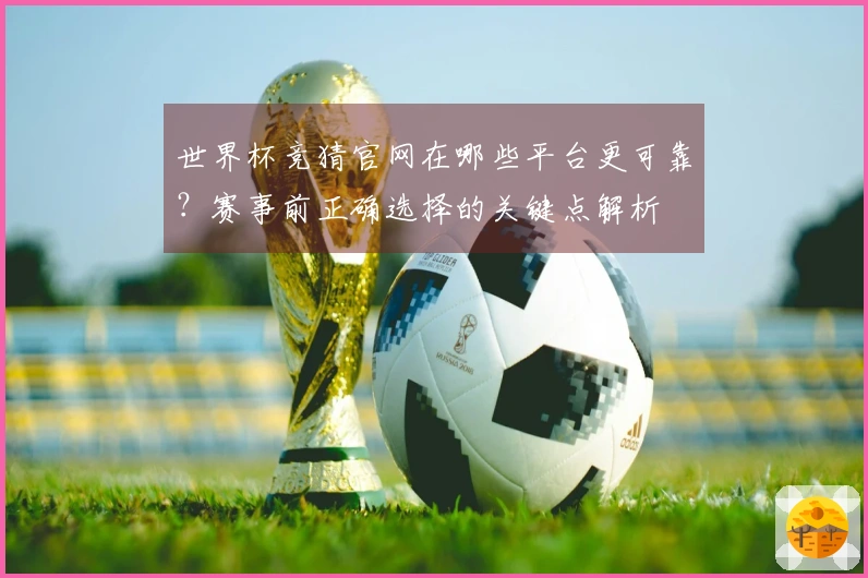 世界杯竞猜官网在哪些平台更可靠？赛事前正确选择的关键点解析